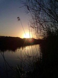 Matt's corner Barton Court
