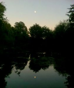 MA moon