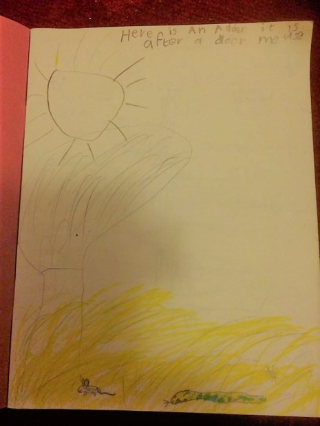 6 year old adder piece