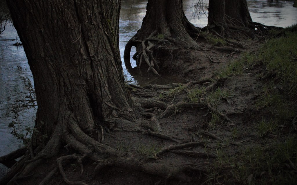 This image has an empty alt attribute; its file name is img_0395-2.jpg